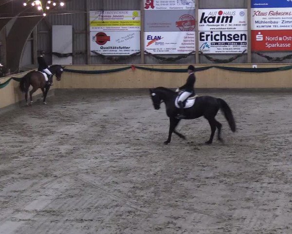 Reitturnier Leck 2018