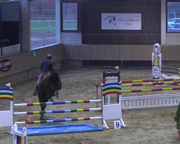 Reitturnier Oelde 2018