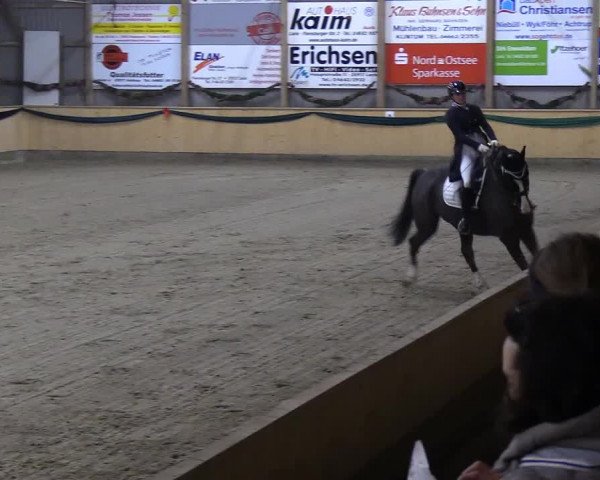 Reitturnier Leck 2018