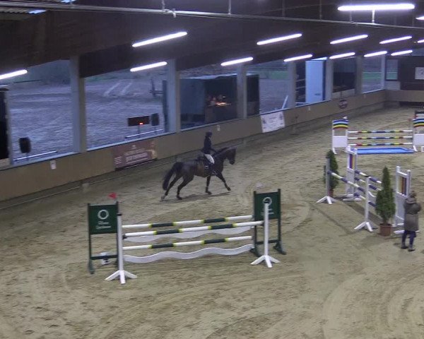 Reitturnier Oelde 2018