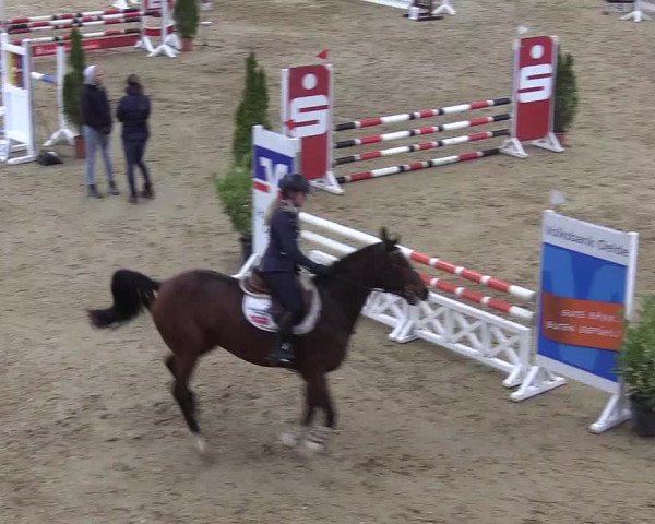 Reitturnier Oelde 2018