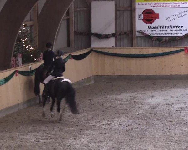 Reitturnier Leck 2018