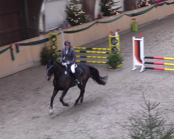 Reitturnier Leck 2018