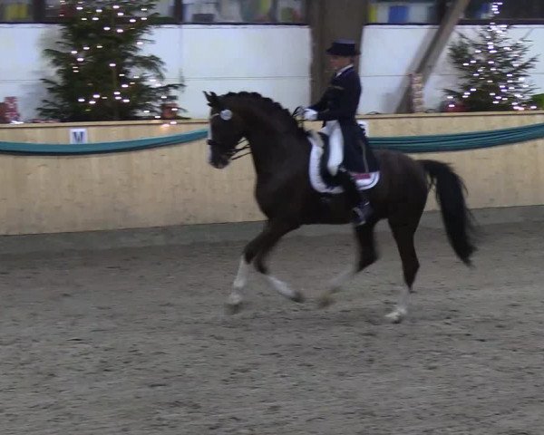 Reitturnier Leck 2018