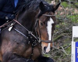 broodmare Cap Anamour (Westphalian, 2005, from Capitalist)