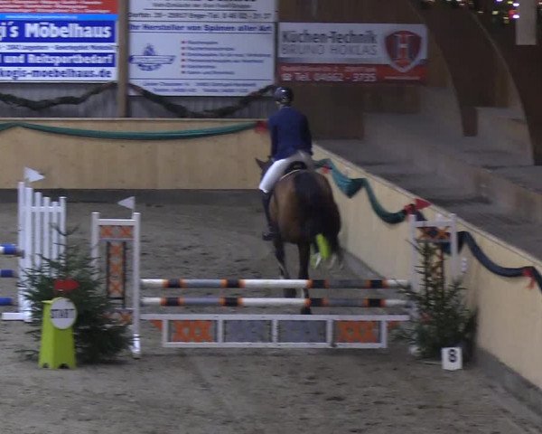 Reitturnier Leck 2018