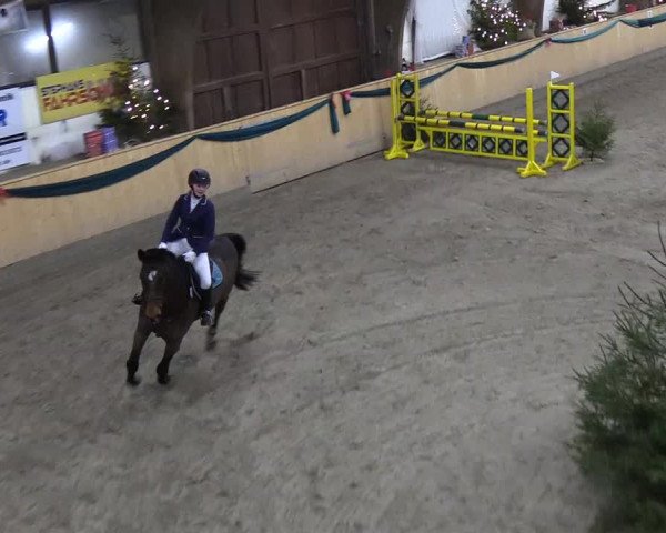 Reitturnier Leck 2018