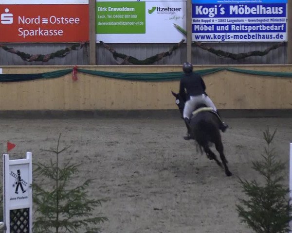 Reitturnier Leck 2018