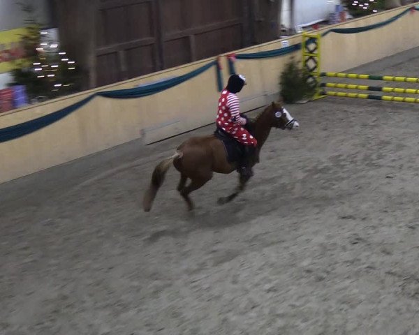 Reitturnier Leck 2018