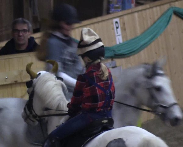 Reitturnier Leck 2018