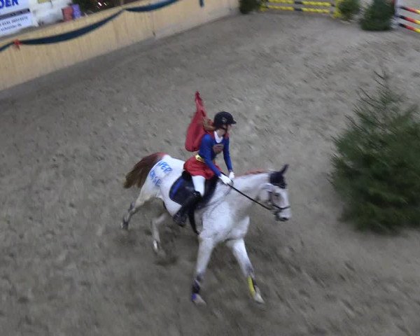 Reitturnier Leck 2018