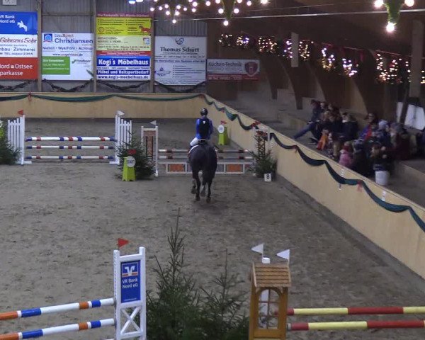 Reitturnier Leck 2018