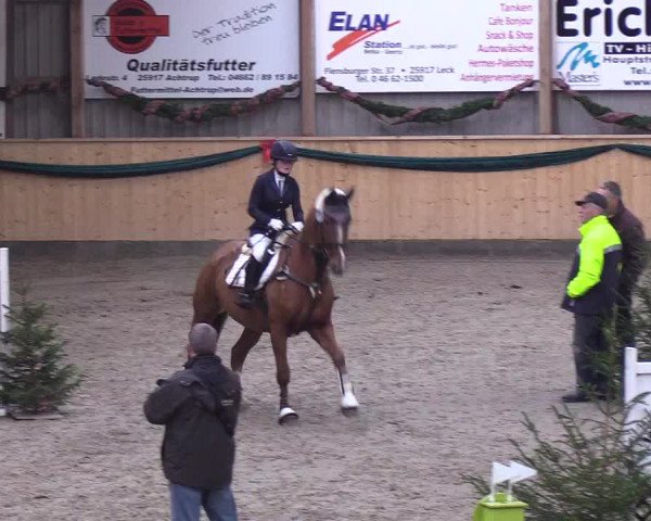 Reitturnier Leck 2018