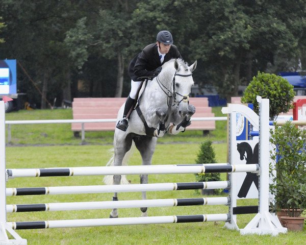 dressage horse Quartz de La Vie Z (Zangersheide riding horse, 2004, from Quite Capitol)
