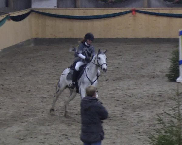 Reitturnier Leck 2018