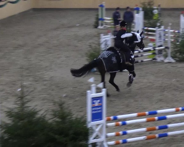 Reitturnier Leck 2018