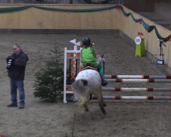 Reitturnier Leck 2018