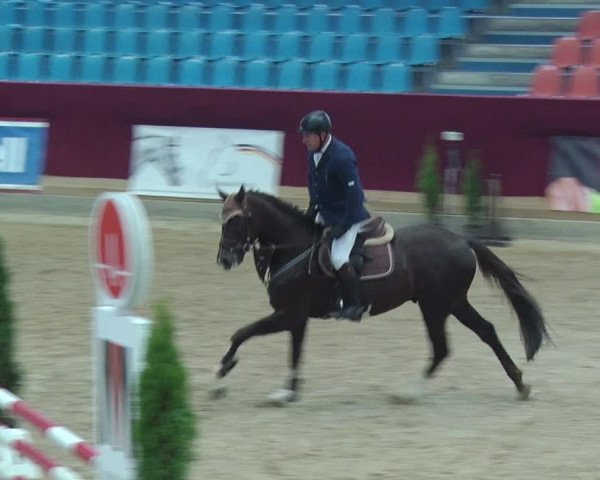 Reitturnier Neustadt/Dosse 2018