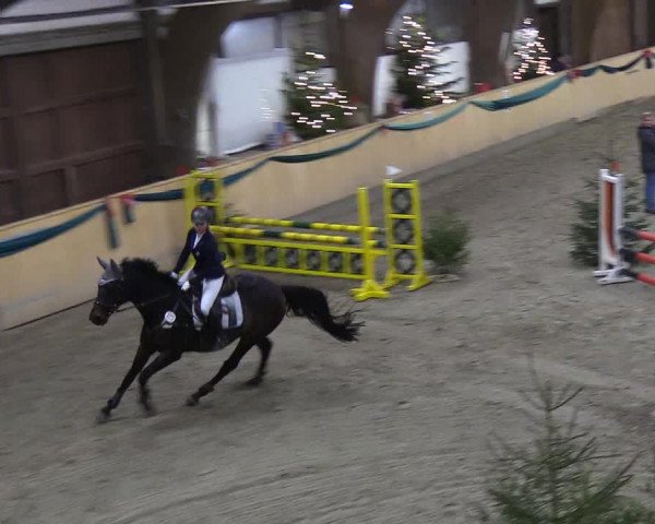 Reitturnier Leck 2018