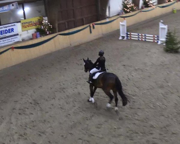 Reitturnier Leck 2018