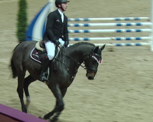 Reitturnier Neustadt/Dosse 2018