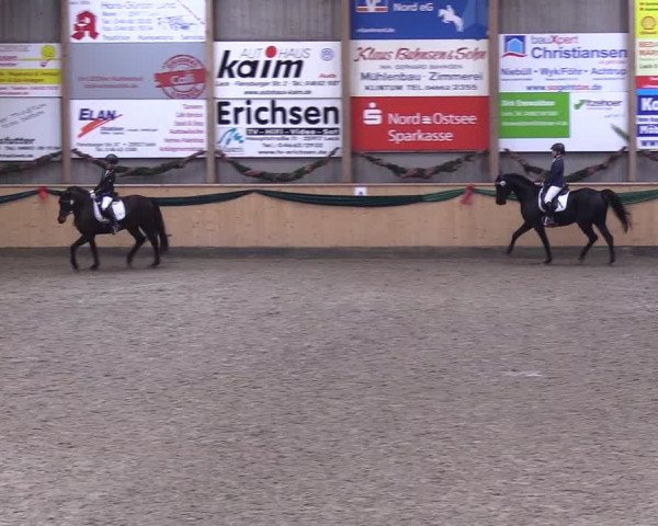 Reitturnier Leck 2018