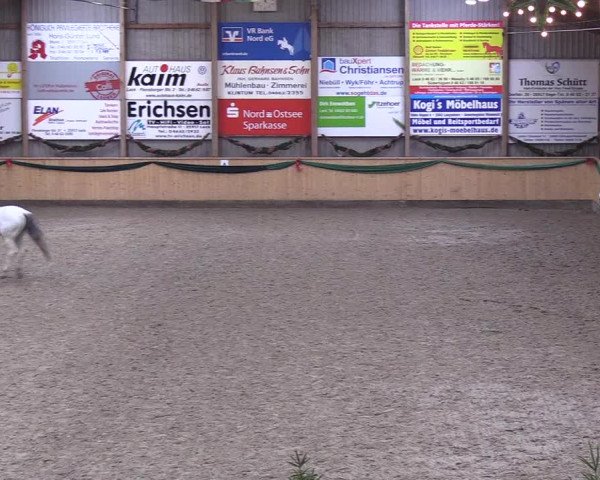 Reitturnier Leck 2018