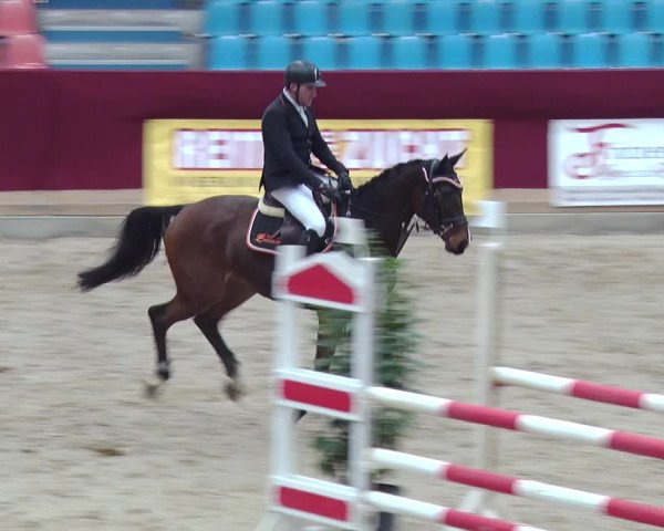Reitturnier Neustadt/Dosse 2018
