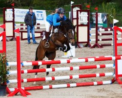 jumper Pascadeau (Pony without race description, 2013, from Pazifik Boy XX)