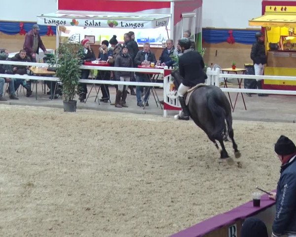 Reitturnier Neustadt/Dosse 2018