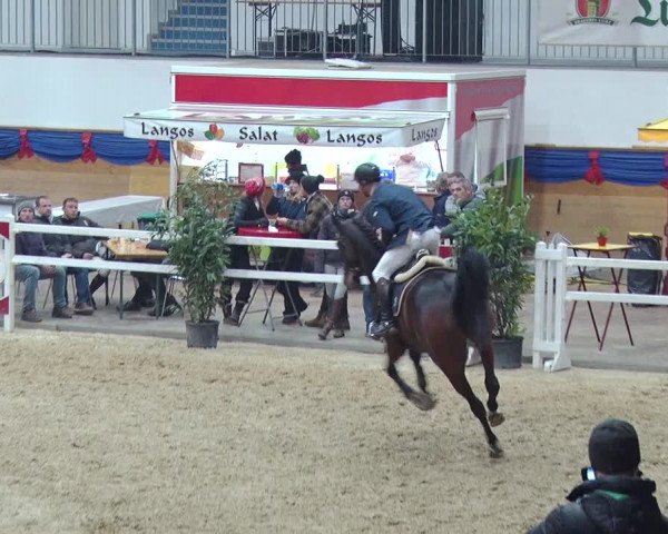 Reitturnier Neustadt/Dosse 2018