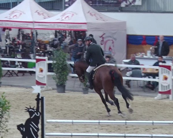 Reitturnier Neustadt/Dosse 2018