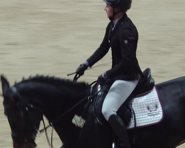 Reitturnier Neustadt/Dosse 2018