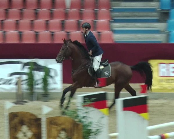 Reitturnier Neustadt/Dosse 2018
