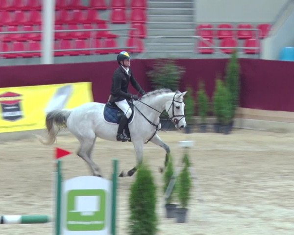 Reitturnier Neustadt/Dosse 2018