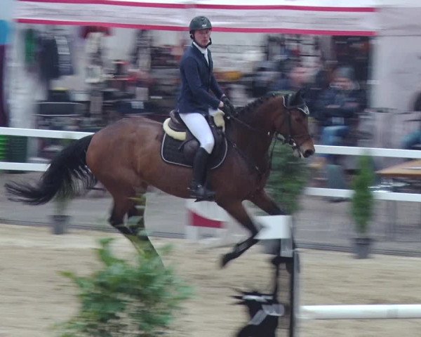 Reitturnier Neustadt/Dosse 2018