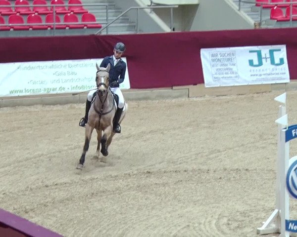 Reitturnier Neustadt/Dosse 2018