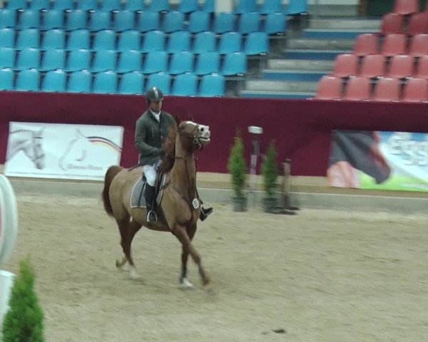 Reitturnier Neustadt/Dosse 2018