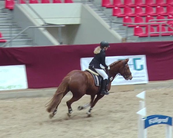 Reitturnier Neustadt/Dosse 2018
