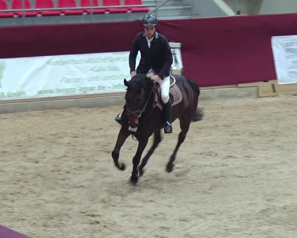Reitturnier Neustadt/Dosse 2018