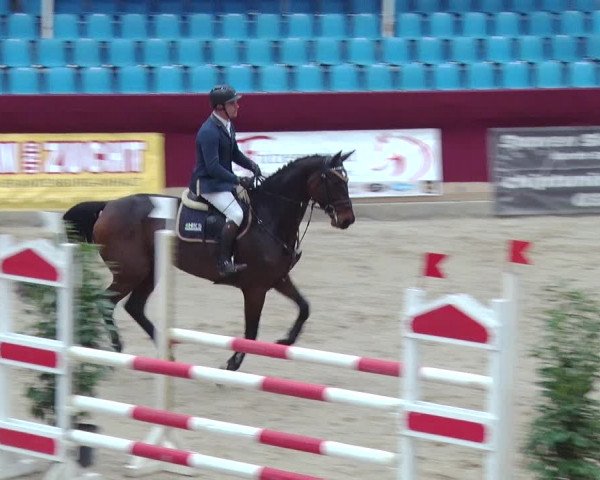Reitturnier Neustadt/Dosse 2018