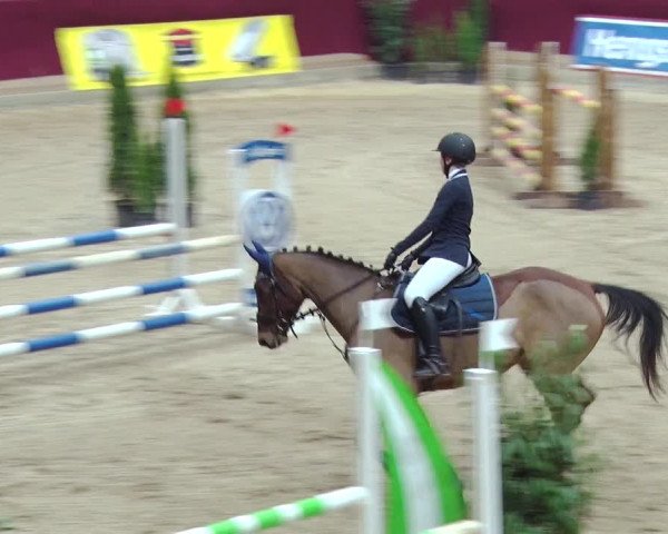 Reitturnier Neustadt/Dosse 2018
