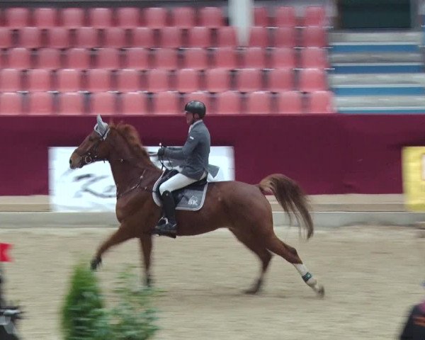 Reitturnier Neustadt/Dosse 2018