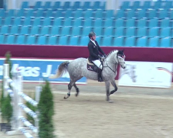 Reitturnier Neustadt/Dosse 2018