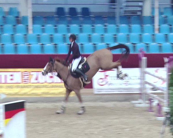 Reitturnier Neustadt/Dosse 2018