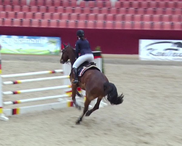 Reitturnier Neustadt/Dosse 2018