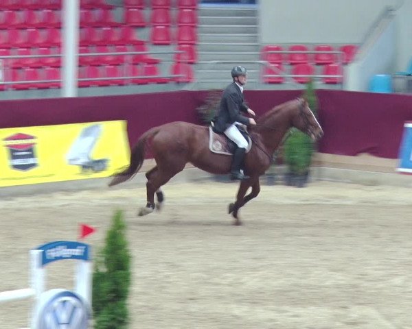 Reitturnier Neustadt/Dosse 2018