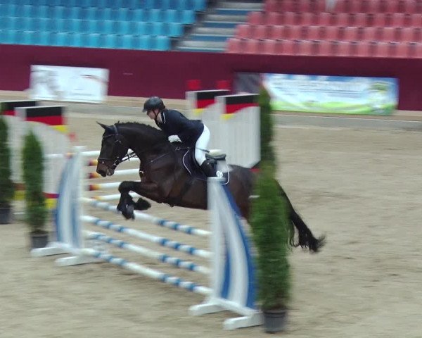 Reitturnier Neustadt/Dosse 2018