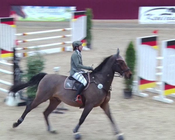 Reitturnier Neustadt/Dosse 2018