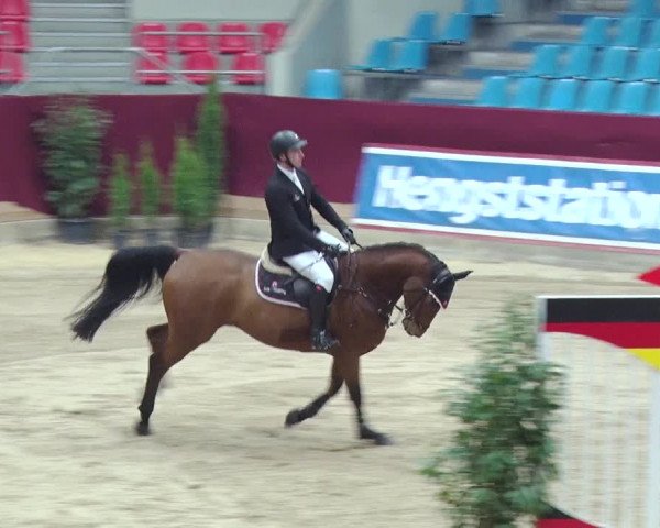 Reitturnier Neustadt/Dosse 2018